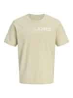 JACKJONES JPRBLANEO SS TEE FST