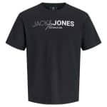 JACKJONES JPRBLANEO SS TEE FST