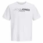 JACKJONES JPRBLANEO SS TEE FST