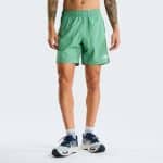 THE NORTH FACE M 24/7 7IN SHORT Dimmed, Medium, Regular