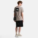 THE NORTH FACE M EVO HLF DME REG SS T Stone Slab, Small - Image 4