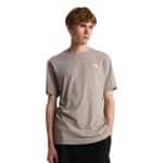 THE NORTH FACE M EVO SD REG SS TEE Stone Slab, Small