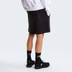 THE NORTH FACE M BOX NSE LT RG SHTS TNF, Small, Regular - Image 2