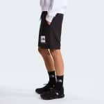 THE NORTH FACE M BOX NSE LT RG SHTS TNF, Small, Regular - Image 3