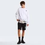 THE NORTH FACE M BOX NSE LT RG SHTS TNF, Small, Regular - Image 6