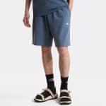 THE NORTH FACE M ESS LT RX SHTS GRANITE, Small, Regular