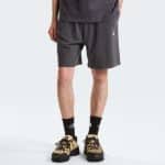 THE NORTH FACE M ESS LT RX SHTS ANTHR, X Large, Regular