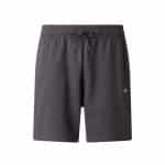 THE NORTH FACE M ESS LT RX SHTS ANTHR, X Large, Regular - Image 5
