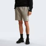 THE NORTH FACE M SD LT RG SHTS Stone Sl, Small, Regular