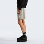 THE NORTH FACE M SD LT RG SHTS Stone Sl, Small, Regular - Image 3