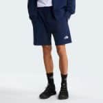 THE NORTH FACE M SD LT RG SHTS SUMMIT, Medium, Regular