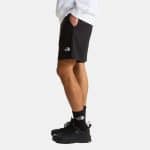 THE NORTH FACE M SD LT RG SHTS TNF BLAC, Small, Regular - Image 3