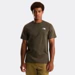 THE NORTH FACE M NORTH FACES REG SS TE NEW TAUPE, Small