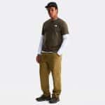 THE NORTH FACE M NORTH FACES REG SS TE NEW TAUPE, Small - Image 4