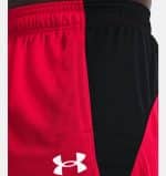 UNDER ARMOUR BASELINE 10IN SHORT - Image 3