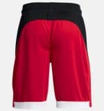 UNDER ARMOUR BASELINE 10IN SHORT - Image 7