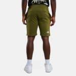 THE NORTH FACE M STAND SHORT LIGHT FOREST OLIVE, Small - Image 2