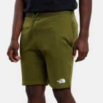 THE NORTH FACE M STAND SHORT LIGHT FOREST OLIVE, Small - Image 3