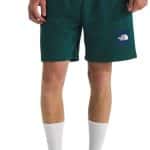 THE NORTH FACE M BOX NSE REGULAR SHORT
