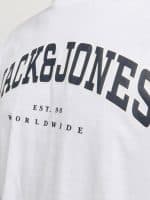 JACKJONES JJECALEB VARSITY TEE SS O-NECK NOOS - Image 3