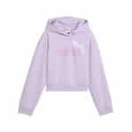 PUMA ESS 2 COLOR No. 1 Logo  Short Length Hoodie FL G