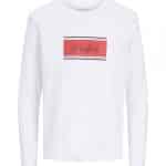 JACKJONES JJBUSTER TEE LS CREW NECK BTS