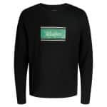 JACKJONES JJBUSTER TEE LS CREW NECK BTS