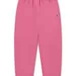 JORDAN JDG BRK FLC JGR PANT