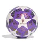 ADIDAS UCL TRN F           PANTON/WHITE