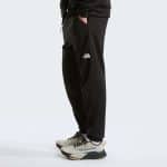 THE NORTH FACE M MA FLEECE PT 2.0 TNF B, Regular - Image 3